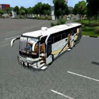 Bus simulator Tanzania